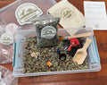 Dinosaur Sensory Kit | Montessori Inspired Sensory Play | Fine Motor Activity | Neuroaffirming | Ready-to-Play-Kit