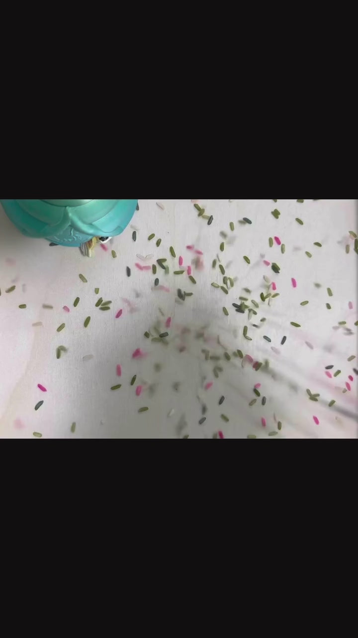 Wings of Wonder Sensory Kit | Caterpillar, Cocoon & Butterfly Discovery Set