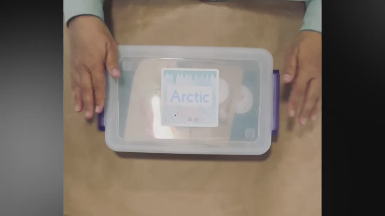 Arctic World Sensory Kit - Perfect for toddlers and preschoolers.
